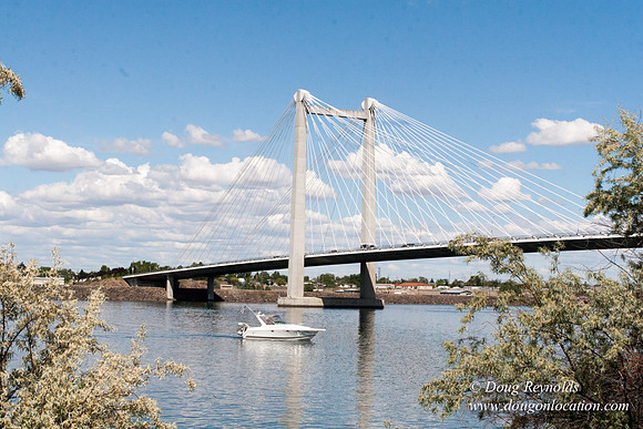 Cable Bridge Pasco