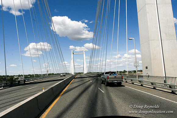 Cable Bridge Pasco