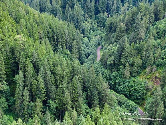 Nestucca River Rd frm air