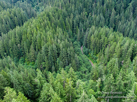 Nestucca River Rd frm air