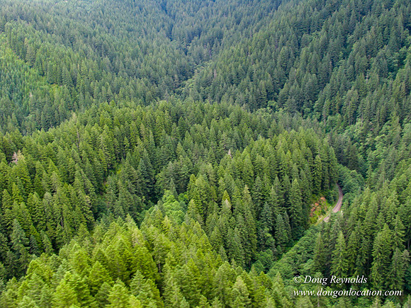 Nestucca River Rd frm air
