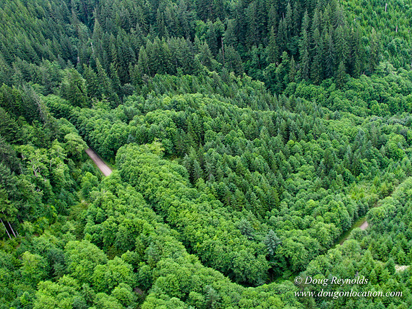 Nestucca River Rd frm air