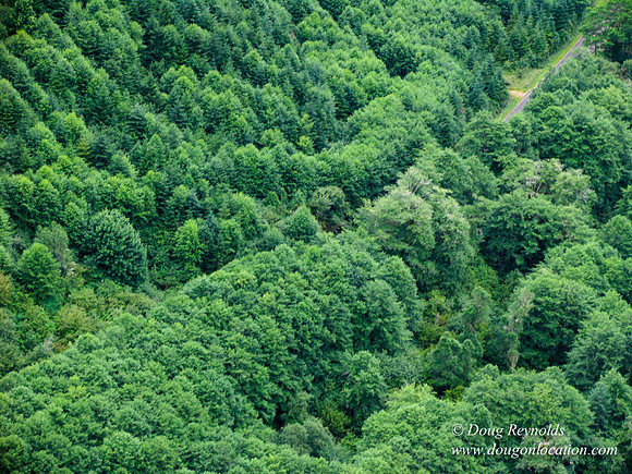 Nestucca River Rd frm air