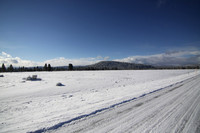 Agancy Rd