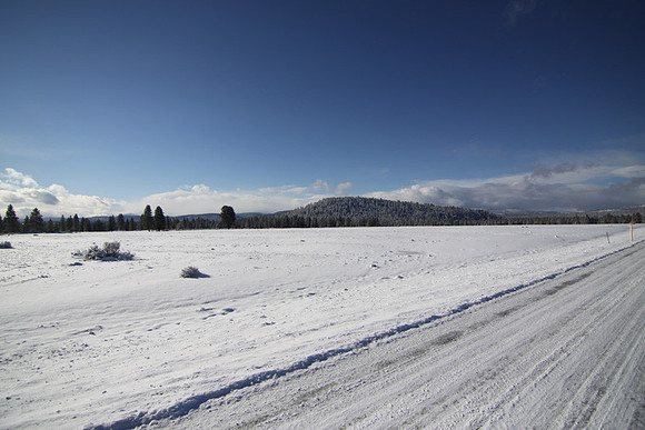 Agancy Rd