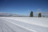 Agancy Rd