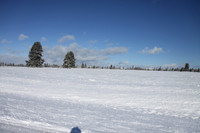 Agancy Rd