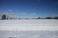 Agancy Rd