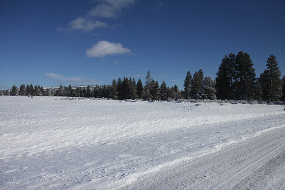 Agancy Rd