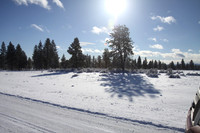 Agancy Rd