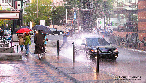 Main in the Rain