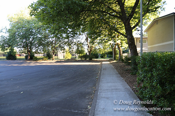 Lincoln Park-0672