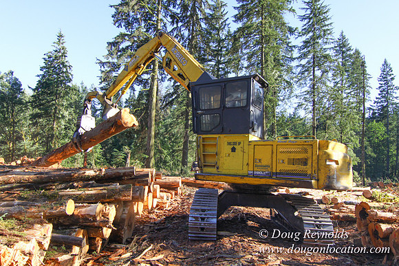 Craig Logging-3170