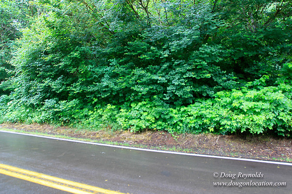 Brower Rd