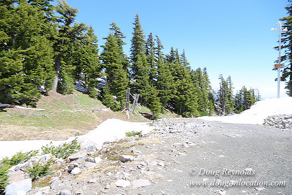 Medow's Snow-5695