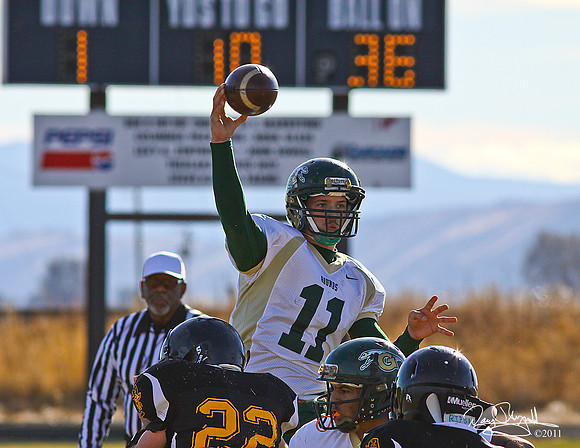 David Quarter Back