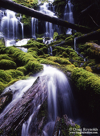 Water Fall in Oregon