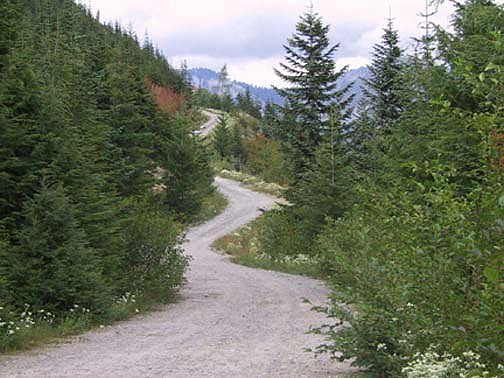 Off Pavement Road
