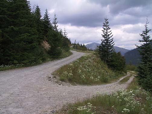 Off Pavement Road