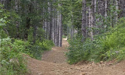 Off Pavement Road
