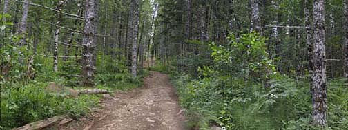 Off Pavement Road