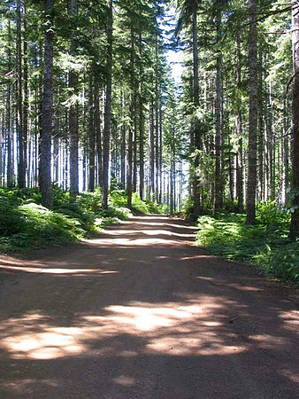 Off Pavement Road