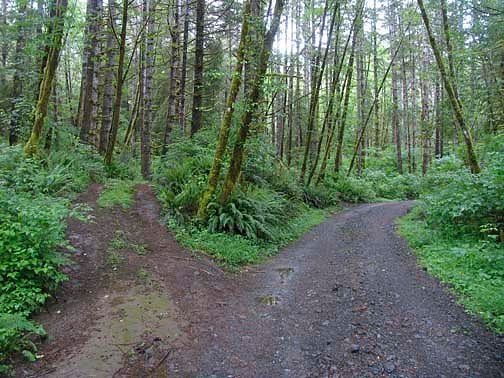 Off Pavement Road