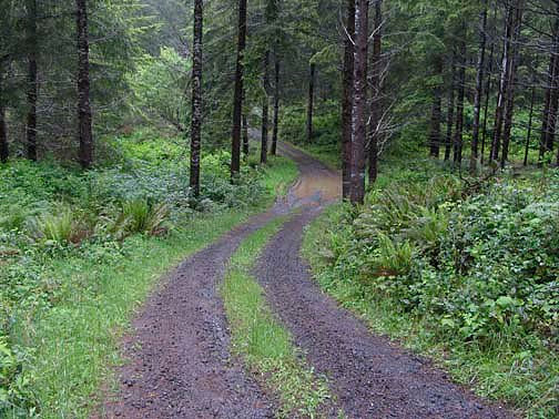 Off Pavement Road