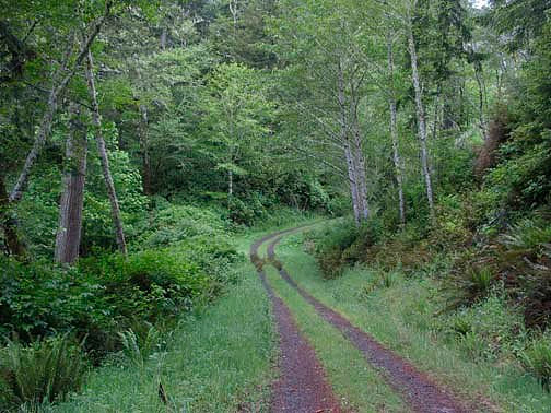 Off Pavement Road