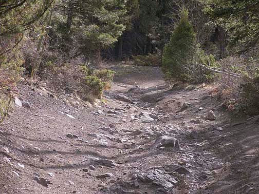Off Pavement Road
