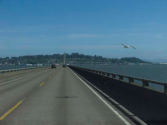 Bridge