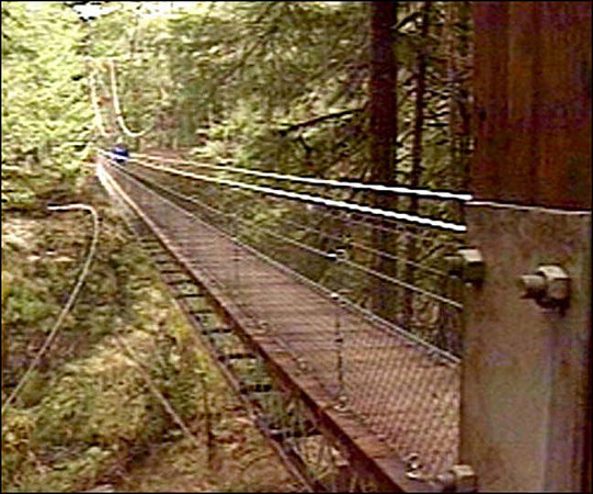 Bridge