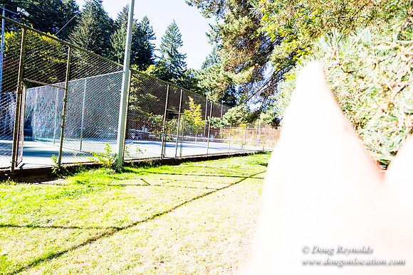 Washington Park Tennis Courts