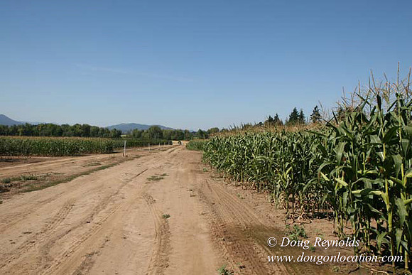 Farm 4 has Barns Shops they grow Wheat and Corn.  in the Portland Zone