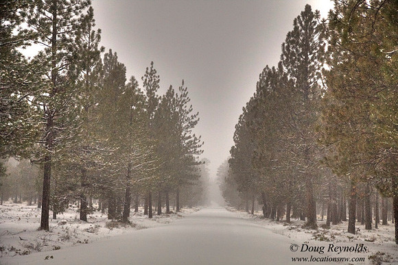S Creek Rd-szwm-H8291BL