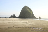 33 Beach CB5-1466