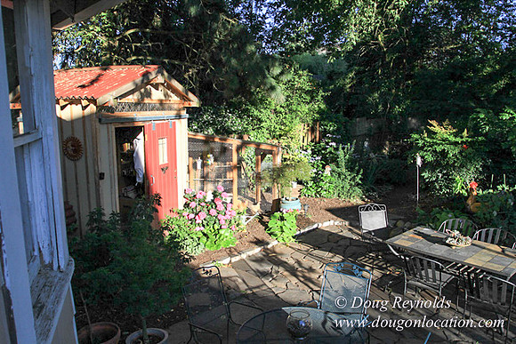 Home" Bungalow, Bee's Back yard Chickens, Small,