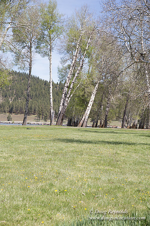 Ranch 18