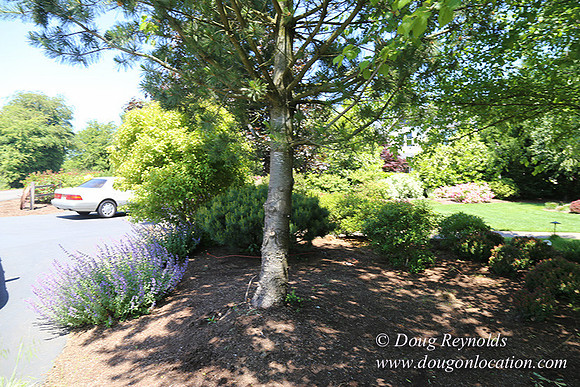 Scotts House-5365