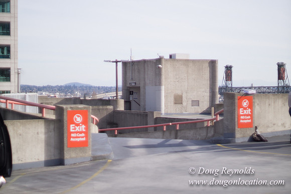 4th & Alder Garage-2824