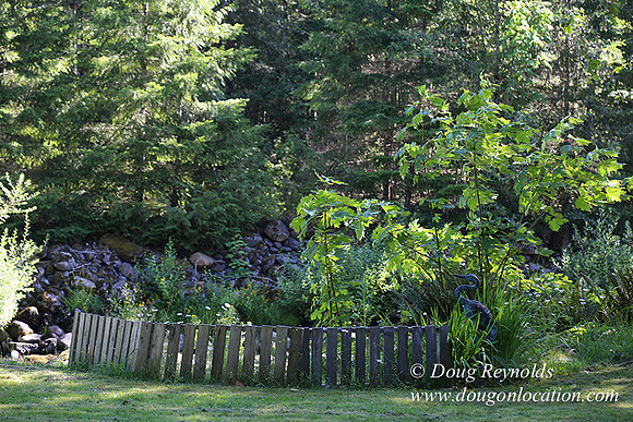 Cabin ,Home, House, River, Yard, Shop, Barn, Garden, Stream,