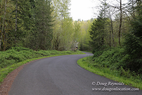 Brians Upper Drive-0284
