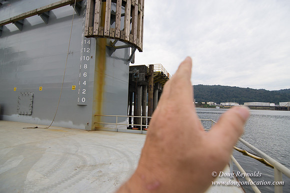 Ship Yard