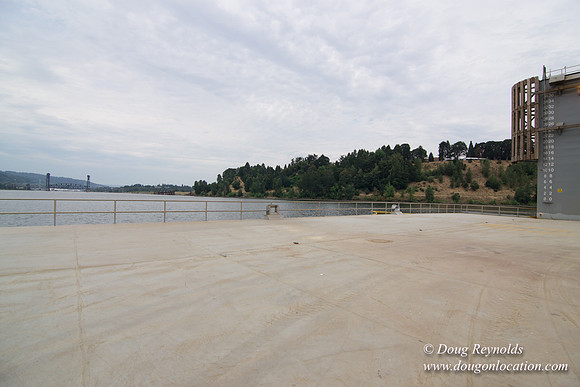 Ship Yard