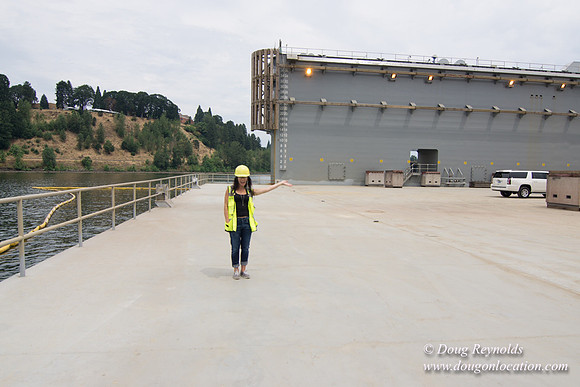 Ship Yard