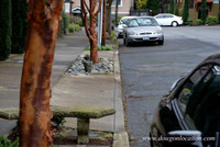 Upshur Rowhouses-0677