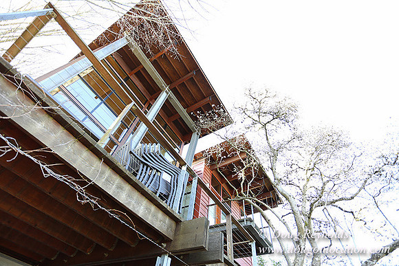 "Modern Contemporary Green Home Portland Oregon Dwell", "family house Northwest Style"