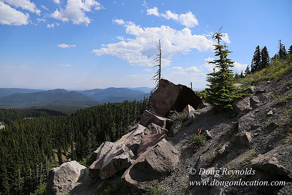 Timberline East rock-6807