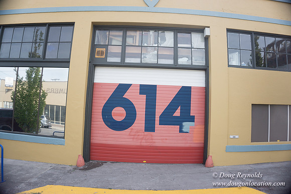 Polara Garage Door