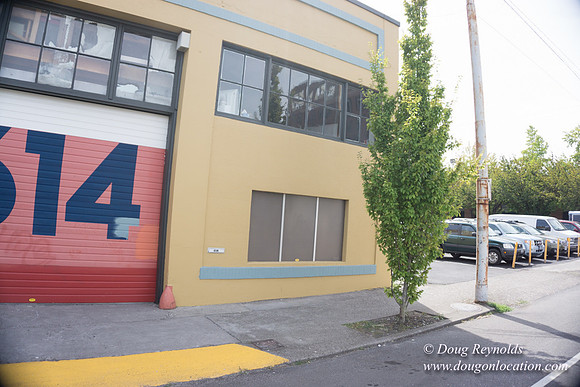 Polara Garage Door